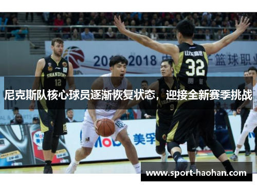 尼克斯队核心球员逐渐恢复状态，迎接全新赛季挑战