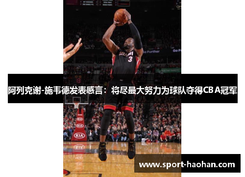 阿列克谢-施韦德发表感言：将尽最大努力为球队夺得CBA冠军